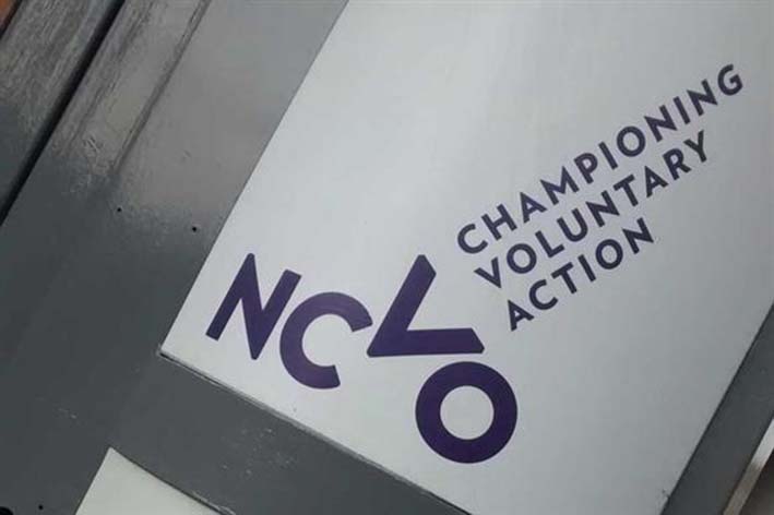 ncvo-launches-free-online-safeguarding-resources.jpg